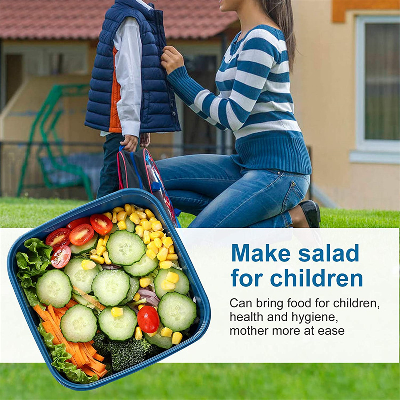 휴대용 샐러드 점심 용기 샐러드 그릇 대형 도시락 상자 - Food Storage Box Large 리뷰 및 가격