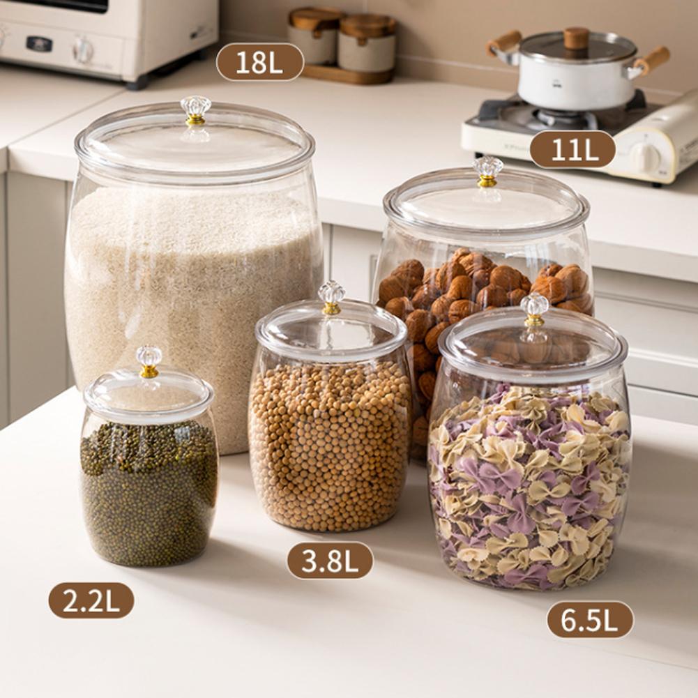대형 투명 플라스틱 밀폐 용기, 쿠키, 사탕, 스낵,  - Food Storage With Lids 리뷰 및 가격