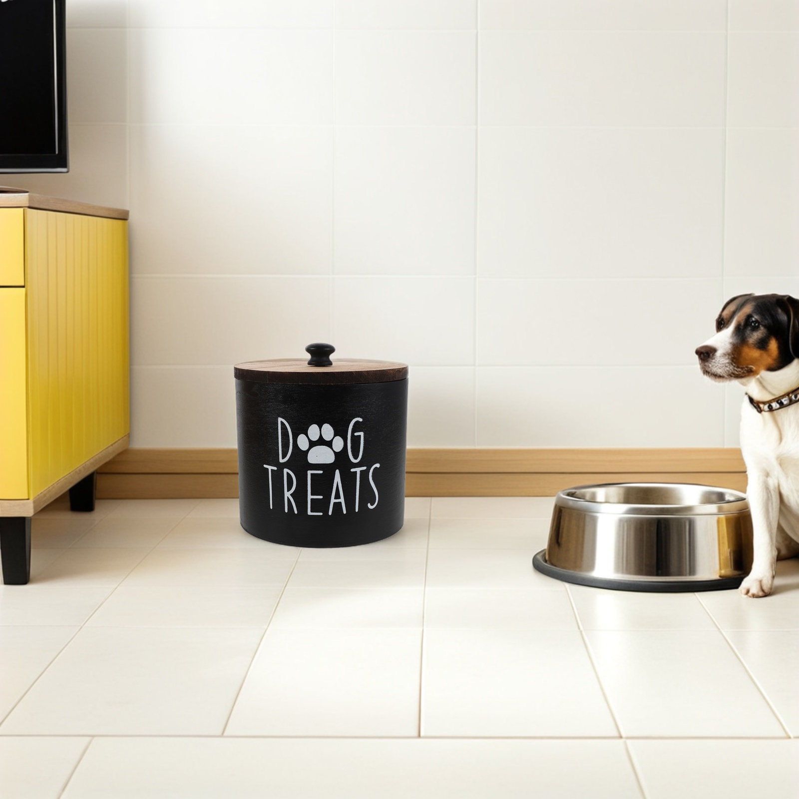 밀폐형 애완동물 사료 보관 용기 강아지 고양이용 할로윈 - Food Storage Dog 리뷰 및 가격